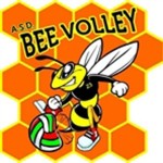 Bee V. Celano Costruzioni srl