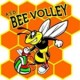 Bee V. Celano Costruzioni srl