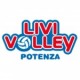 Livinvolley